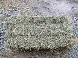Stacked hay bales